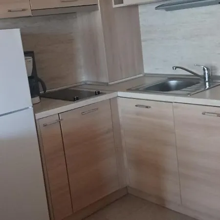 Byala Palace Apartman *